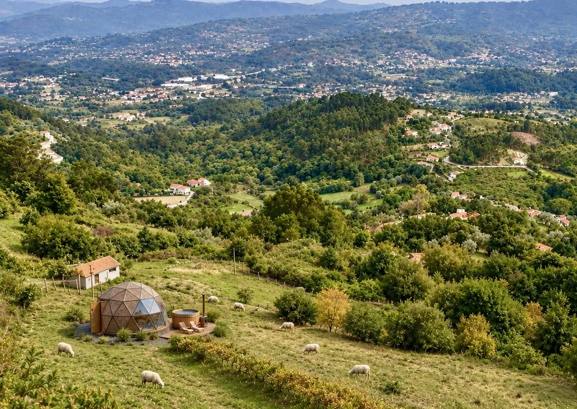 the dome — Zora Cabins